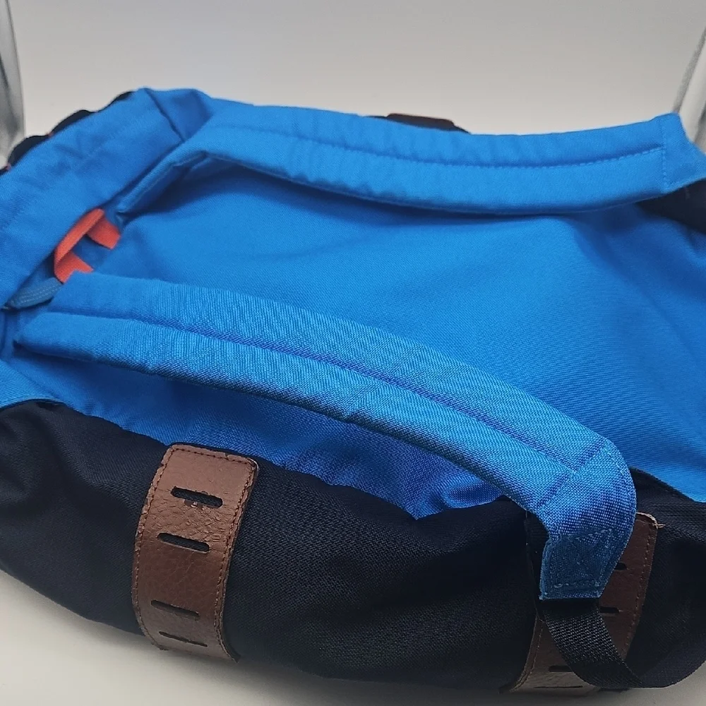 Patagonia Men's Backpack in Blue and Black